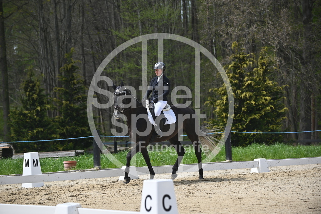 DSC_3009 | sattelsport - Realisiert mit Pictrs.com