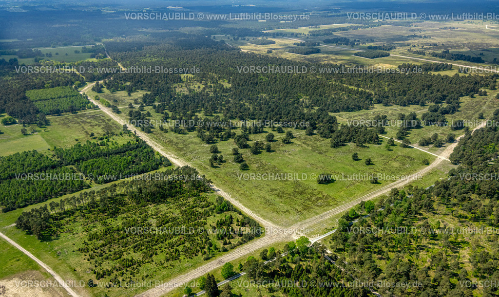 Schlangen240505130Oesterholz-Haustenbeck_Senne | Luftbild, Senne Heidelandschaft, Mergelweg Ecke Schlangener Straße, Wald und Wiesen, Oesterholz-Haustenbeck, Schlangen, Ostwestfalen, Nordrhein-Westfalen, Deutschland