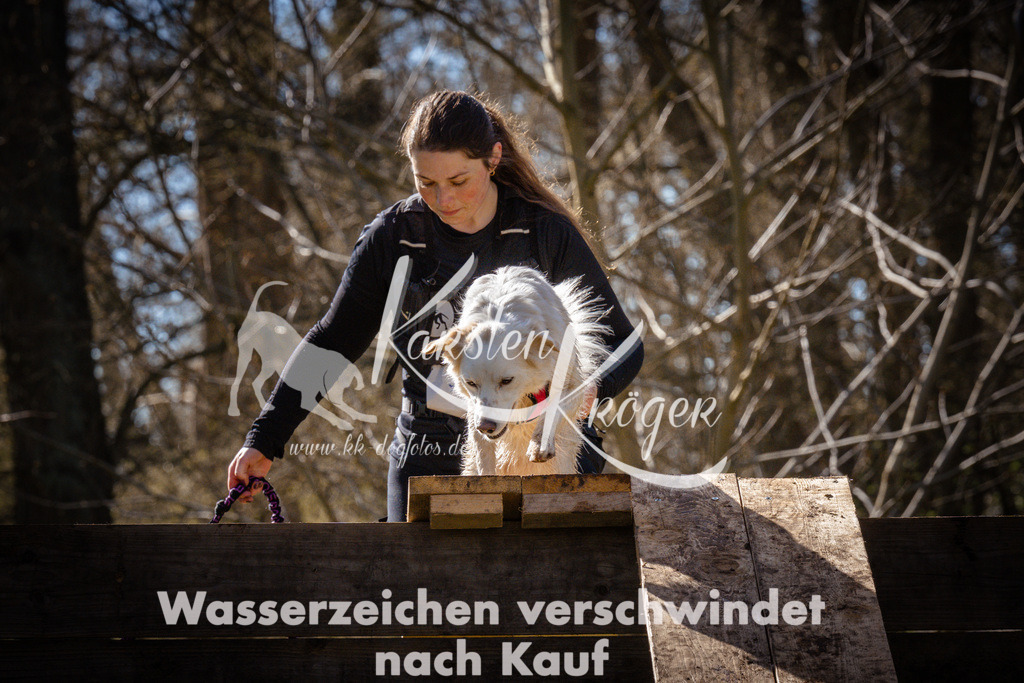 0927_ZZ95693 | kk-dogfotos