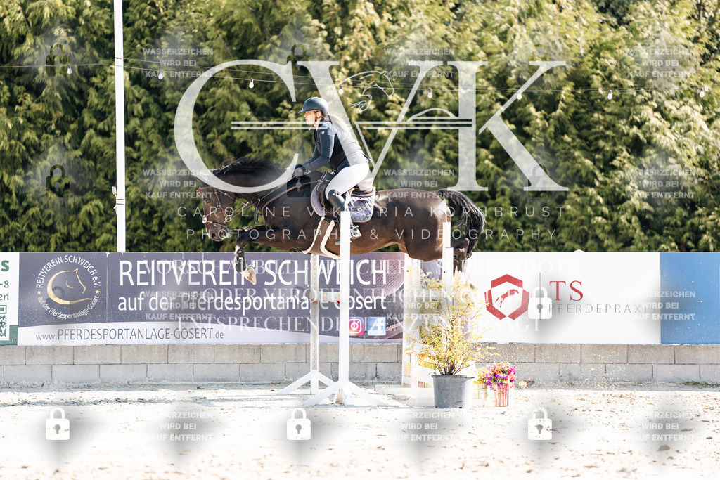 CK902485 | Turnierfotografie Pferdefotografie Trier Rheinland-Pfalz Pferdesport Reitsport Tierfotografie Sportfotografie Pferdevideo Pferdevideografie Equestrianvideography equestrianphotography  - Realisiert mit Pictrs.com