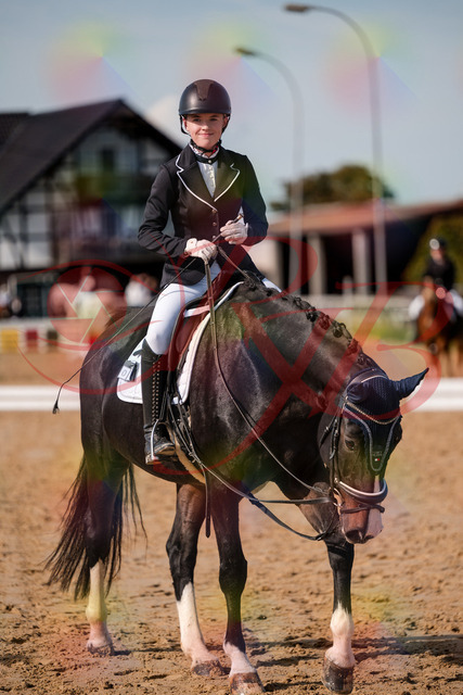 2026_10_03_Siefer-Hof_121835_Z63_42556511 | Professionelle Reitsport-, Turnier- und Eventfotografie von Robert Broda. Galerien mit ausgewählten und bearbeiteten Bildern direkt online ansehen und bestellen.