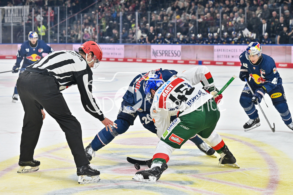 EHC RB München - Augsburger Panther | beim Bully Andreas EDER (EHC RB Muenchen 20) und Jason BAST (Augsburger Panther #45) / Zweikampf / DEL: EHC RB Muenchen - Augsburger Panther, SAP Garden am 23.11.2024