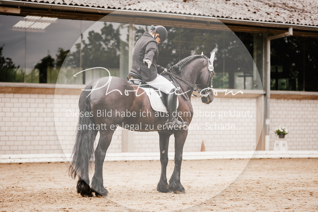 3I6A7741 | Stimmungsvolle Portraits und Reitsportfotografie im Ruhrgebiet und im Münsterland.

Pferdefotografie, Hundefotografie, Tierfotografie, Reportagen, Portraits von Tier und Mensch, Turnierfotografie in Bochum, Recklinghausen, Marl, Haltern am See, Dülmen.. - Realisiert mit Pictrs.com