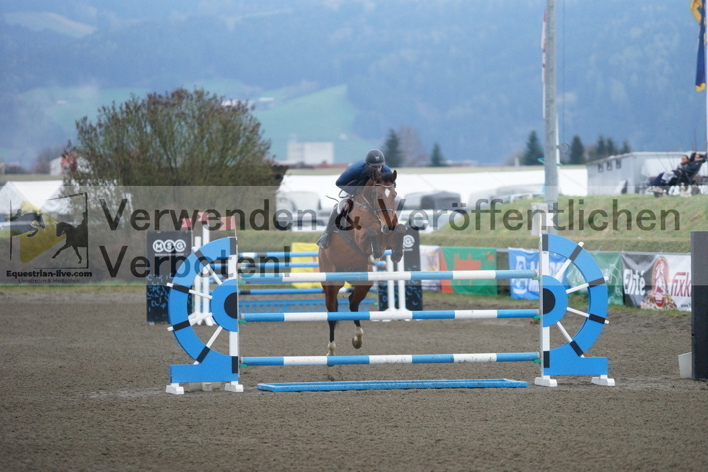 DSC01731 | equestrian-live-com