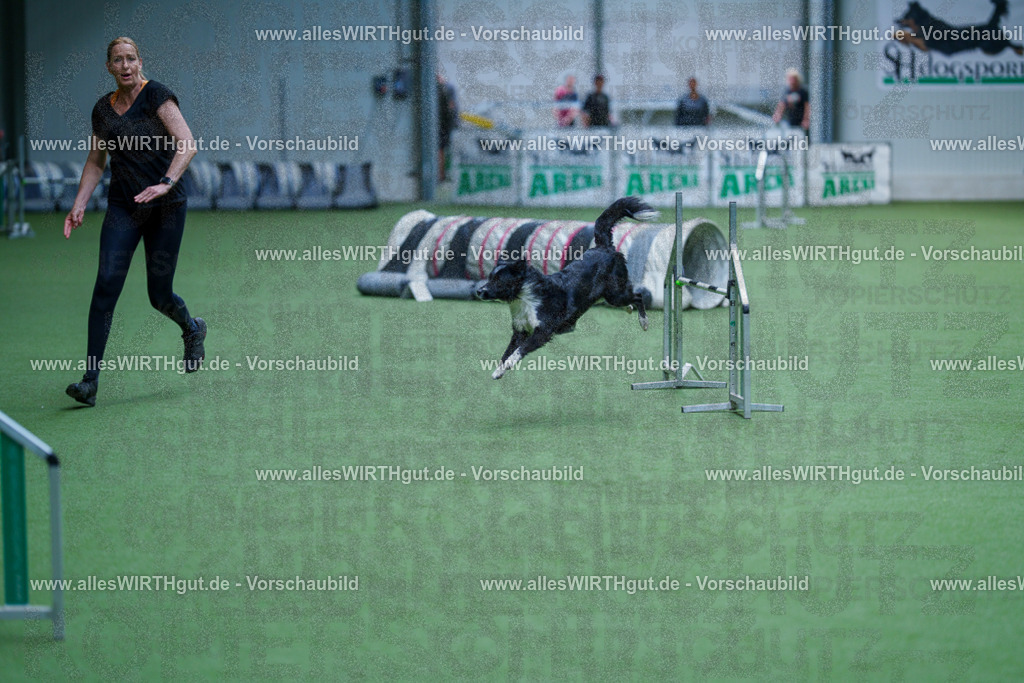 @allesWIRTHgut_Tierfotografie - www.allesWIRTHgut.de - 2604261237-7R501269 | Professionelle Tierfotografie in Mönchengladbach von Daniel Wirth (allesWIRTHgut). Liebevolle & natürliche Bilder von Hunden & Katzen für unvergessliche Erinnerungen.