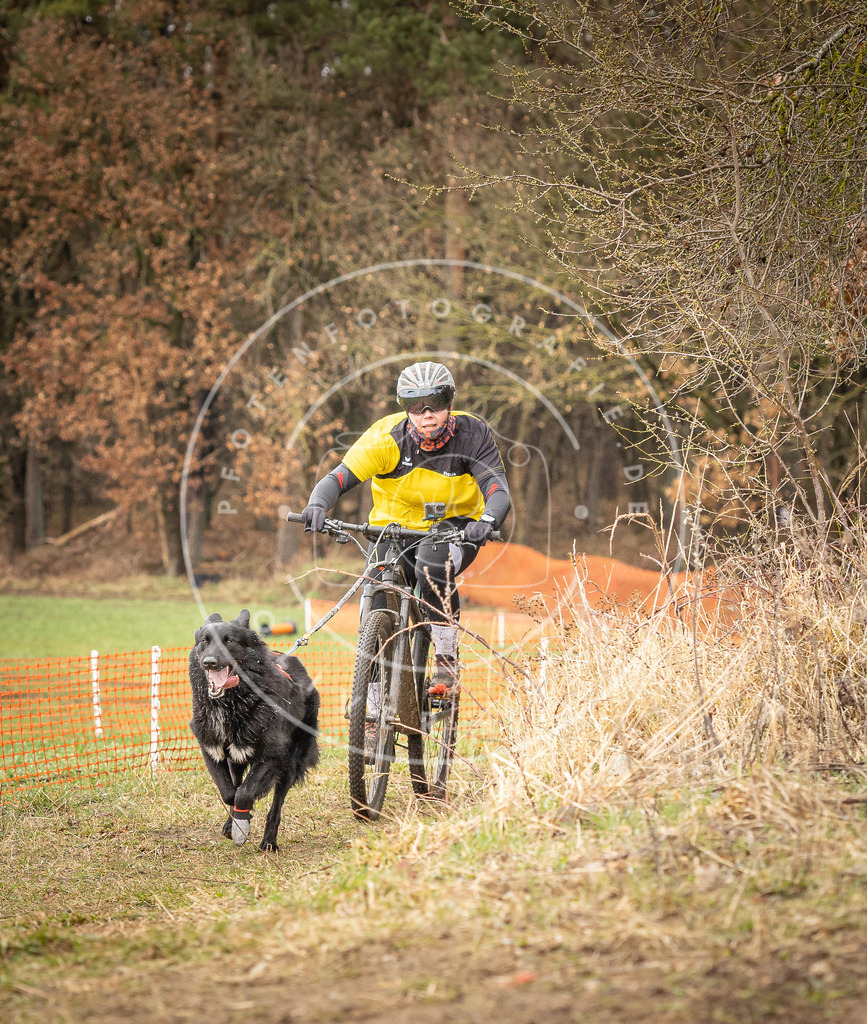 DV3A0903 | Hundefotografie, Tierfotograf, Pfotenfotografie, Fotoshooting Hund, Hunde Portrait, Hundesport, Hundeportraits, Heideshooting, Hunde, Sportfotograf, Hundefotograf, Turnierhundsport, THS,  - Realisiert mit Pictrs.com