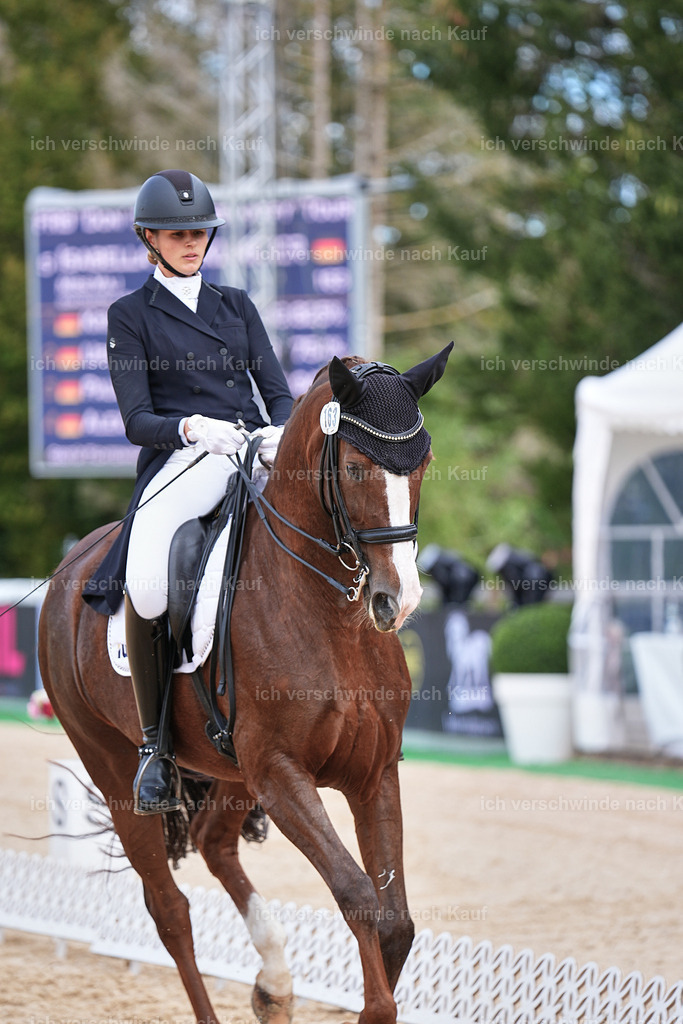 6-163-AMATUER-DRESSUR S_  -Marixx-3706 | working equitationturnier fotograf videograf stoibphotography marixx film working equitation deutschland reitsport turnierfotografie eventfotografie equestrian events