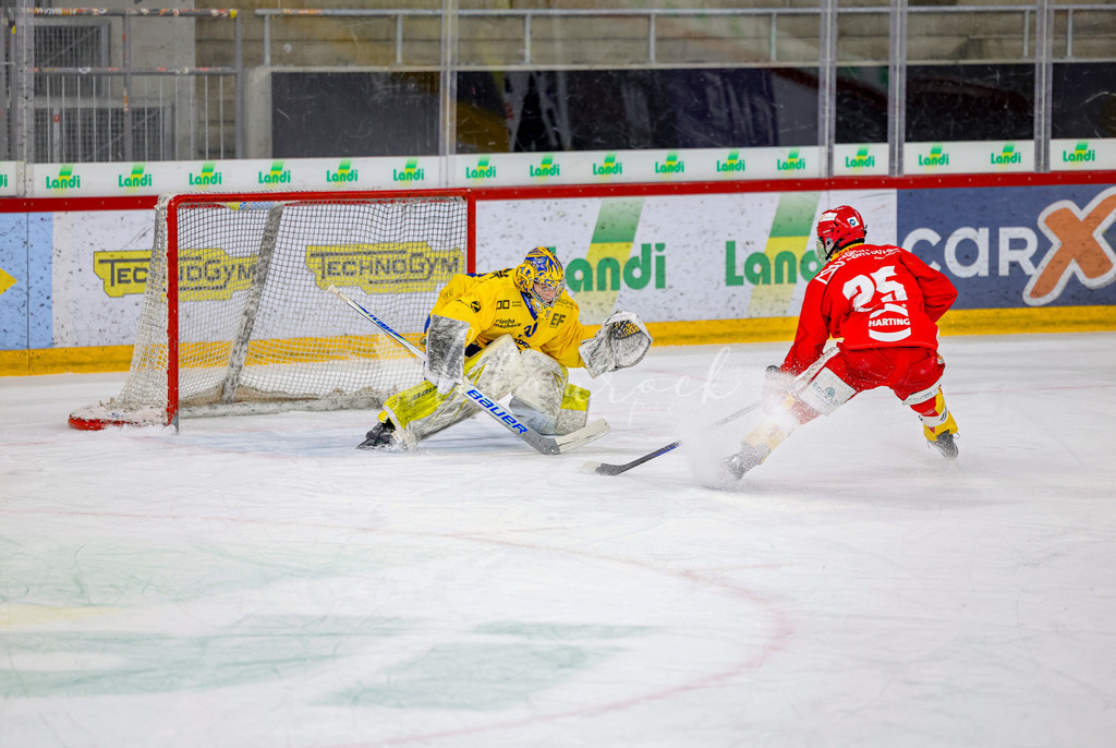 EHCB vs HCD-1498 | Sportbilder, Sportfotograf, Hochzeits- und Eventfotografin, Flugshows, Portraits und Tiershooting, Aviation, Downhill, Nationalleague, Swissleague, International