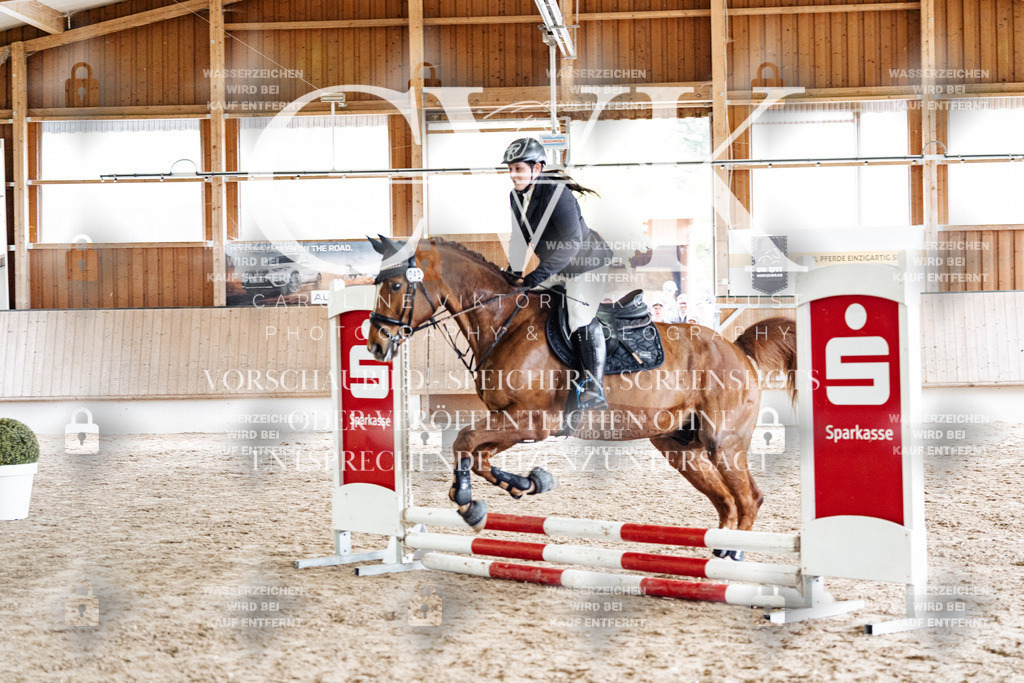 CK902654 | Turnierfotografie Pferdefotografie Trier Rheinland-Pfalz Pferdesport Reitsport Tierfotografie Sportfotografie Pferdevideo Pferdevideografie Equestrianvideography equestrianphotography  - Realisiert mit Pictrs.com