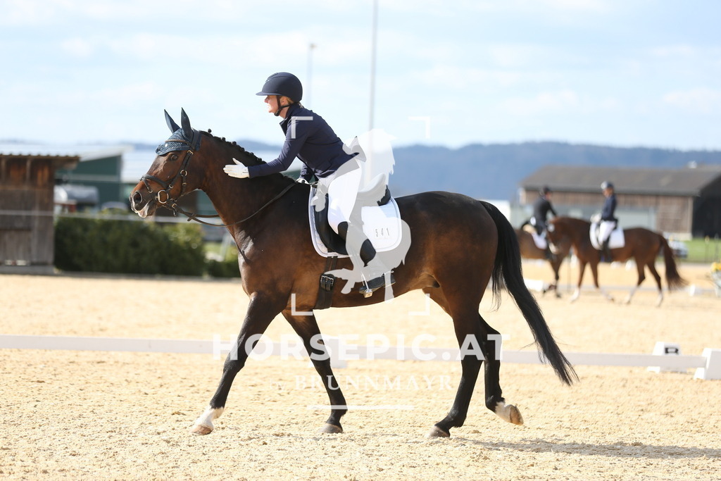 AS8V1808 | Willkommen bei Brunnmayr - Design & Fotografie – Ihrem Spezialisten für Reitturniere und Pferdeveranstaltungen in Oberösterreich, Salzburg und Bayern! Seit über 17 Jahren sind wir leidenschaftlich dabei.