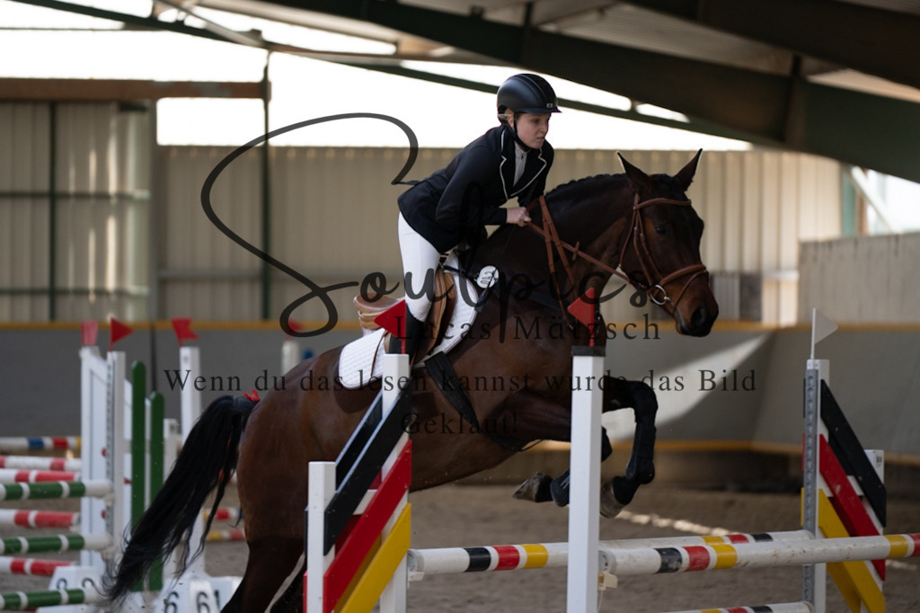 A7V06883 | Pferdefotograf