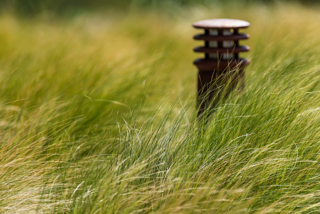 2025_05_24_BUESUM_MCP8377 | Hochwertig gedruckte Fotografien für die Wand, als Kalender und zum Verschenken. Hamburg & Norddeutschland und überall wo ich mit der Kamera unterwegs war.