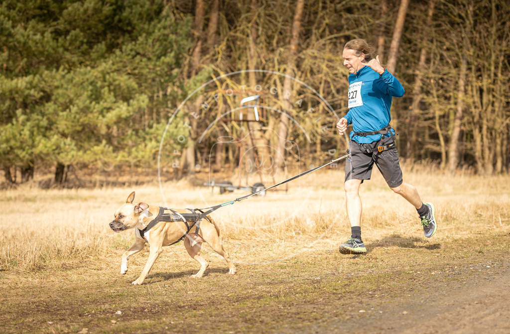 DV3A5334 | Hundefotografie, Tierfotograf, Pfotenfotografie, Fotoshooting Hund, Hunde Portrait, Hundesport, Hundeportraits, Heideshooting, Hunde, Sportfotograf, Hundefotograf, Turnierhundsport, THS,  - Realisiert mit Pictrs.com