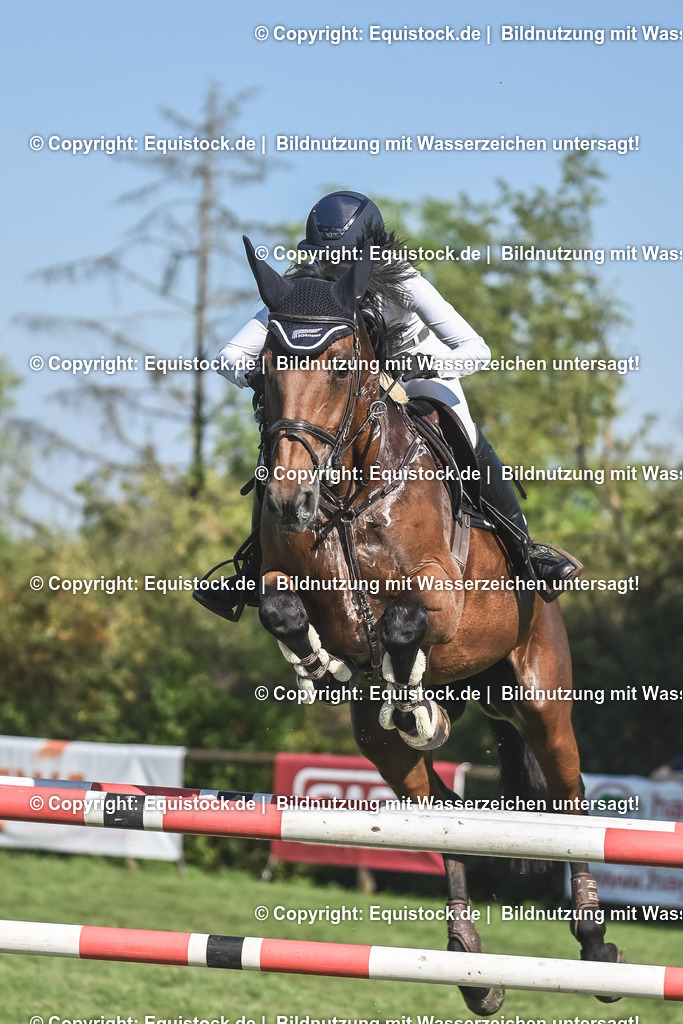 20230908_24_Springen_M_0015 | equistock