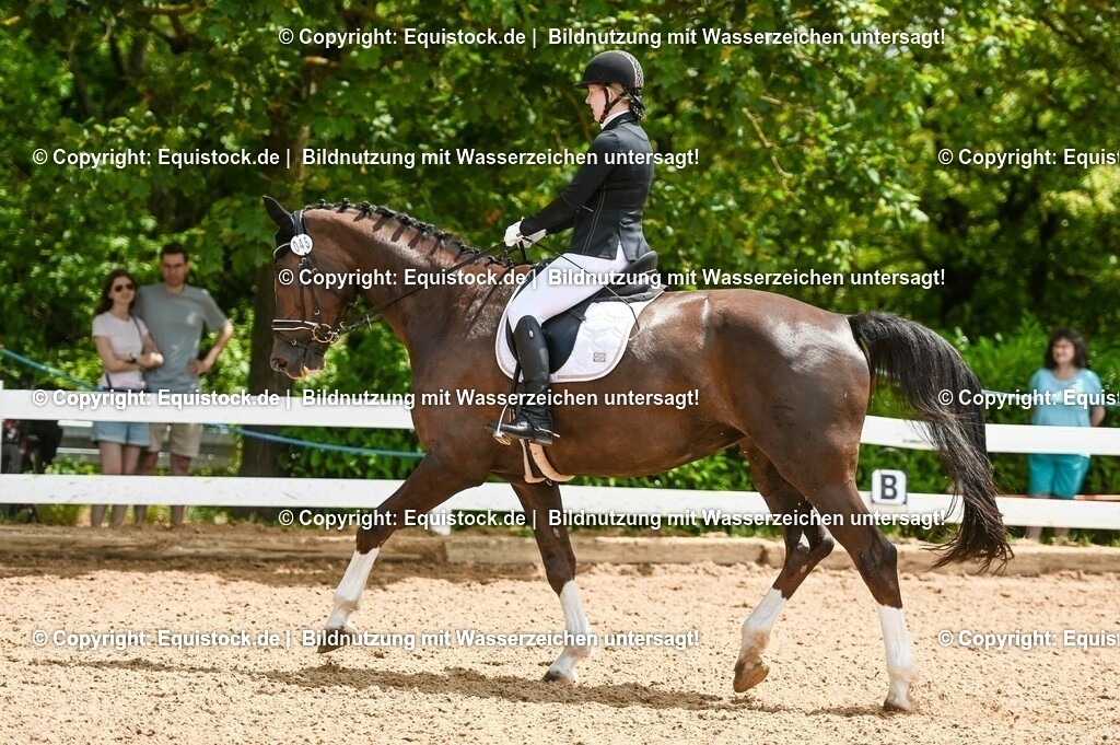 20230716_03_Dressurprfg. Kl.L - Tr._0177 | equistock