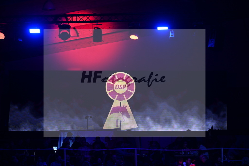 DSP_Logo_2254267 | hf-fotografie - Realisiert mit Pictrs.com