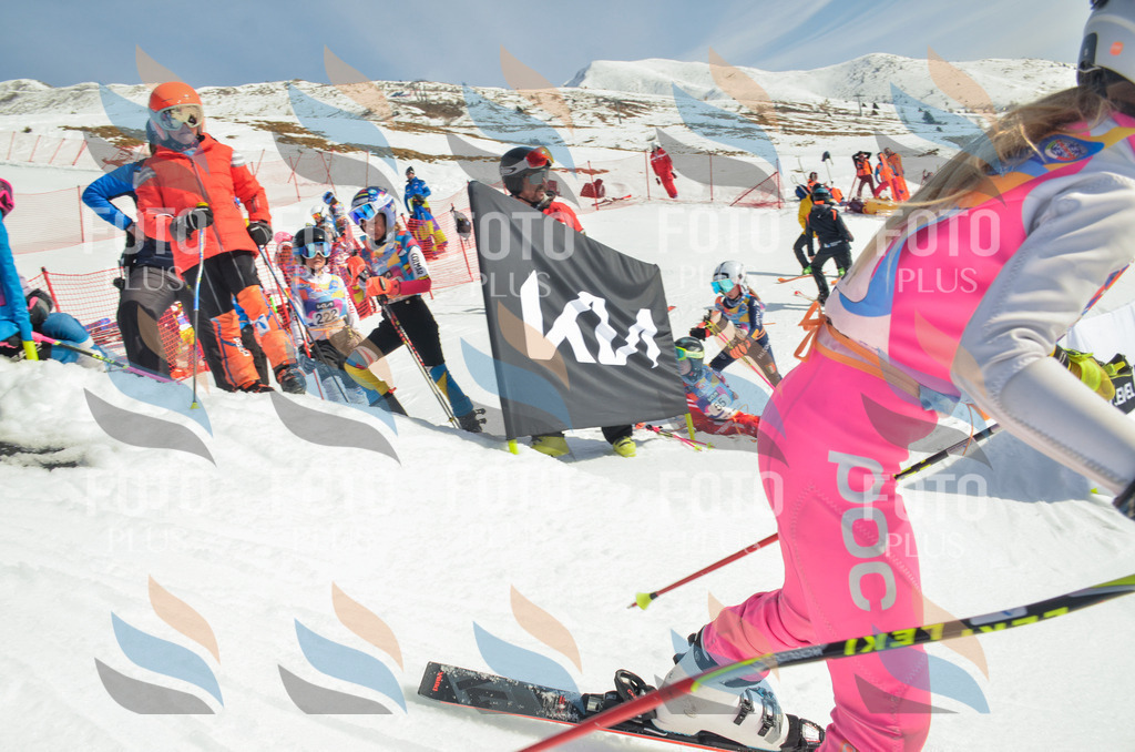 _ELE4787 | holidayphoto