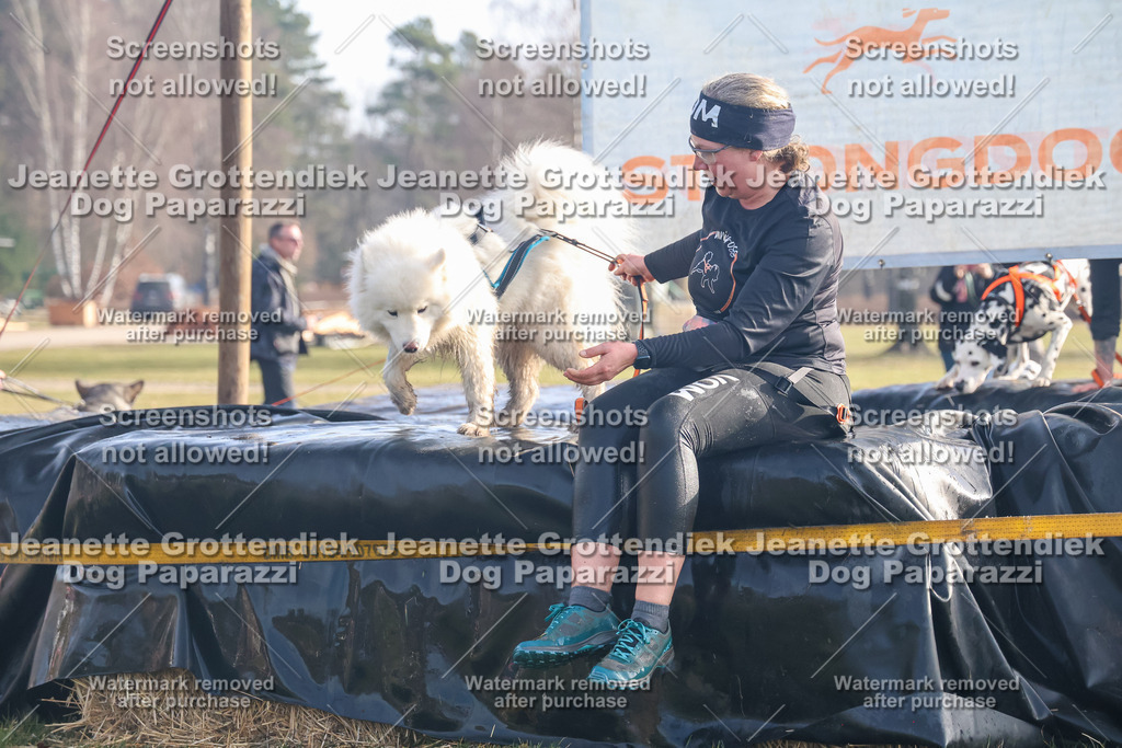Dog Paparazzi - Strongdog North Mrz26-146 | Dog Paparazzi Jeanette Grottendiek Fotografie & Videografie - Realisiert mit Pictrs.com