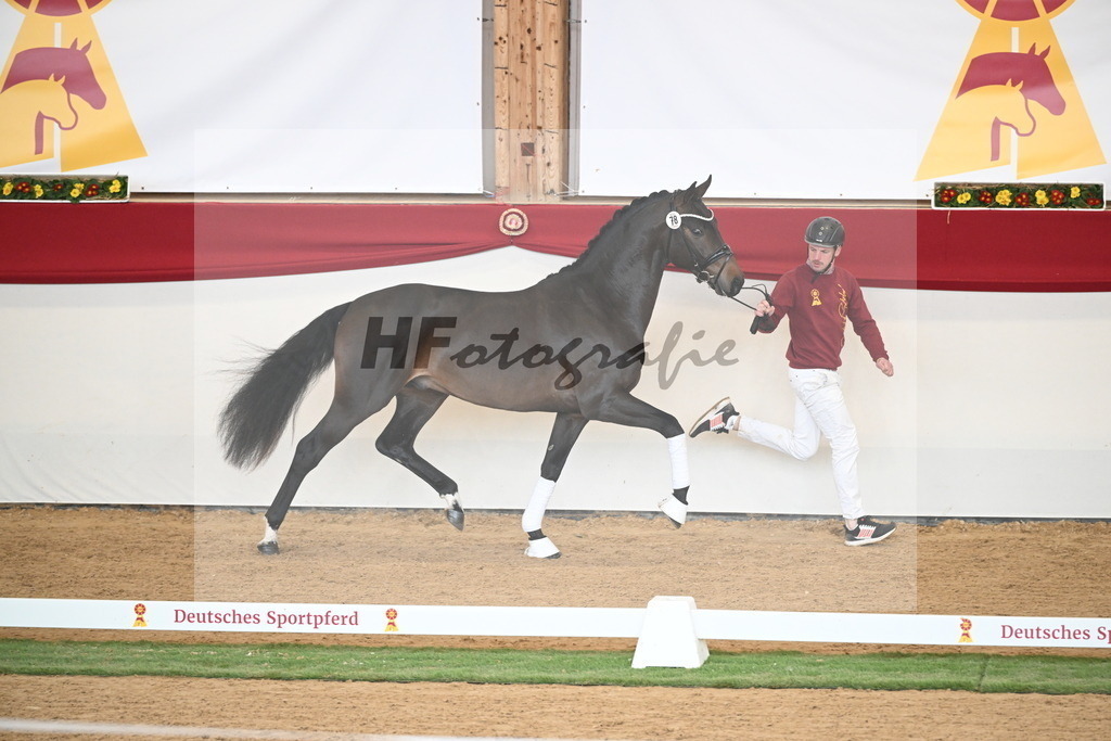 Kat.-Nr. 78 v. Springbank II VH_Reichert_2250733 | hf-fotografie - Realisiert mit Pictrs.com