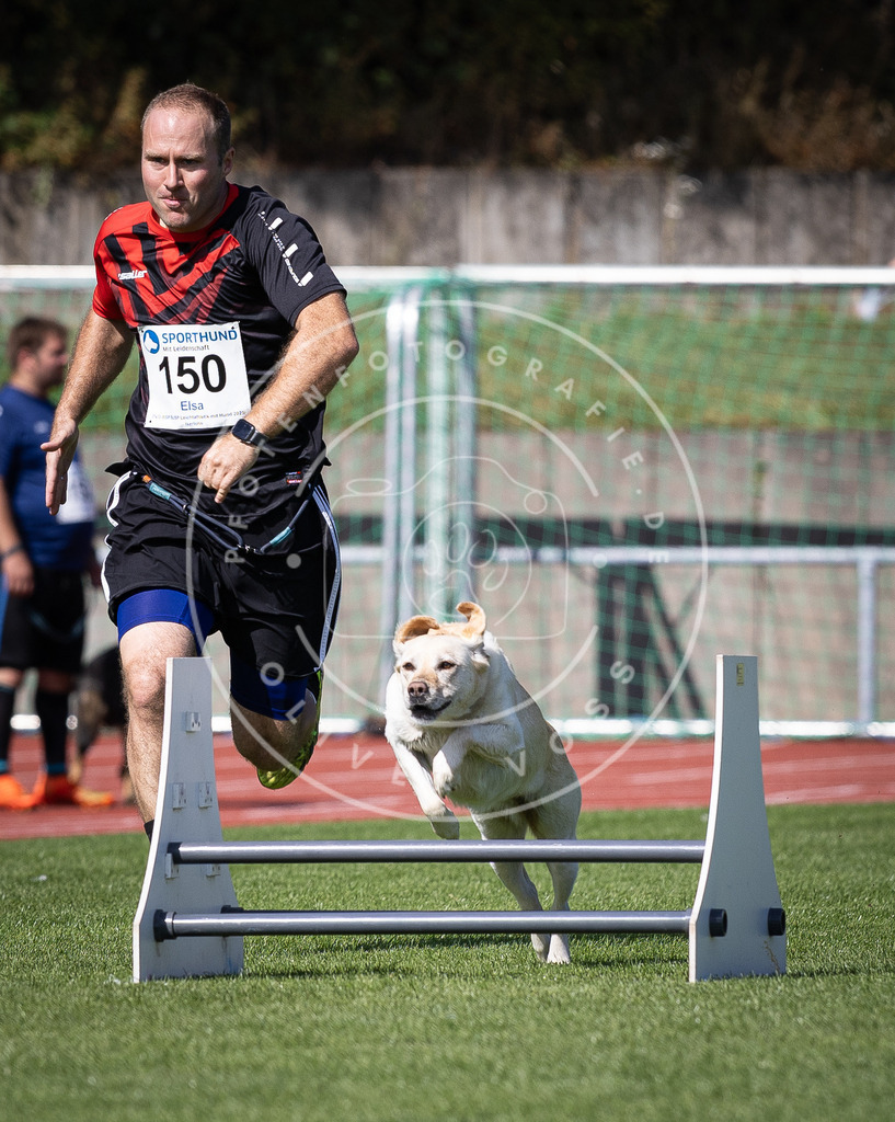 Pfotenfotografie_DV3A9339 | Hundefotografie, Tierfotograf, Pfotenfotografie, Fotoshooting Hund, Hunde Portrait, Hundesport, Hundeportraits, Heideshooting, Hunde, Sportfotograf, Hundefotograf, Turnierhundsport, THS,  - Realisiert mit Pictrs.com