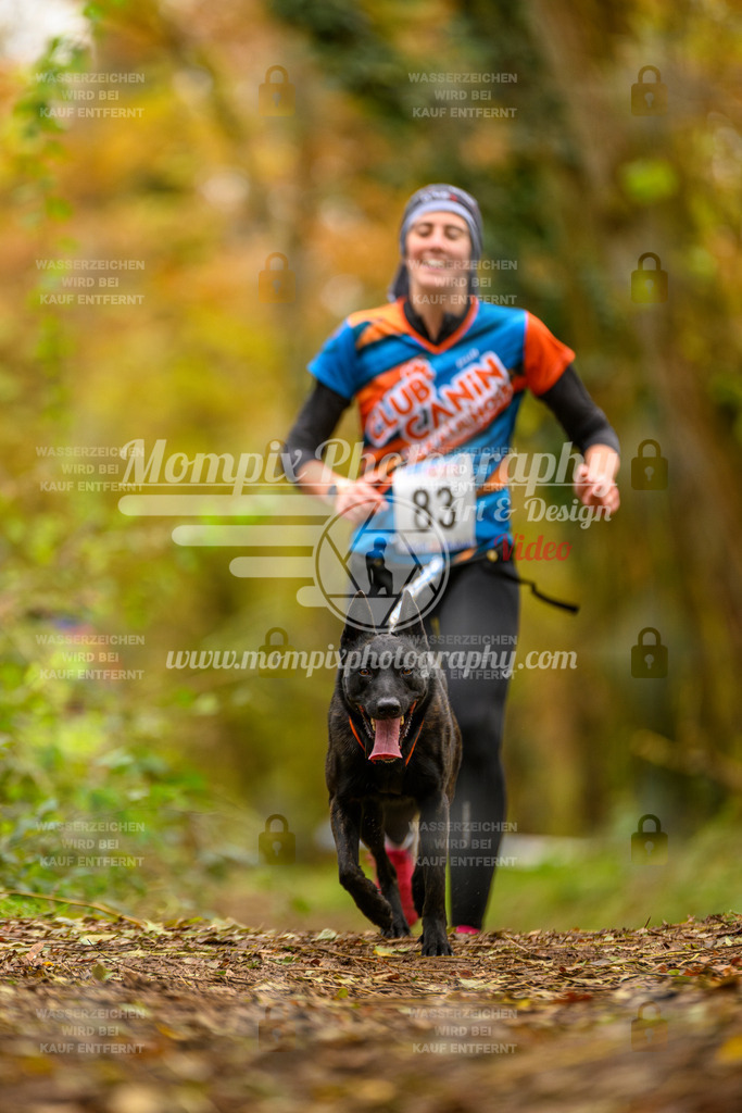 MompixPhotography_Bischwiller24_SA_Canicross-152 | PayLife