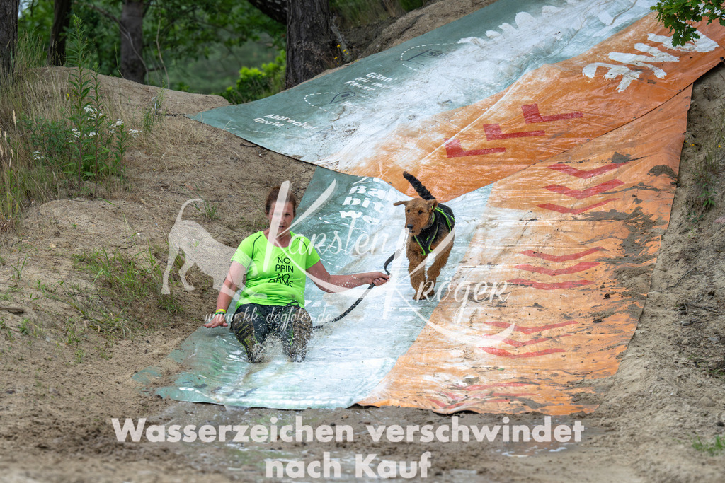 0954_ZZ91654-Verbessert-RR | kk-dogfotos