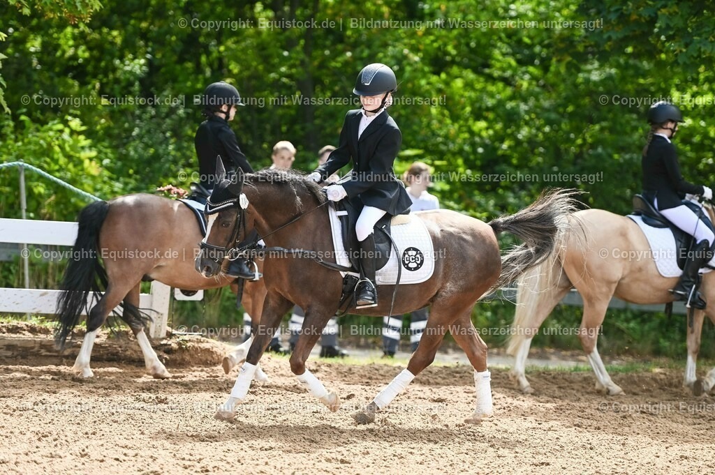 20230716_10-3_Reiter-WB Schritt - Trab - Galopp_0072 | equistock