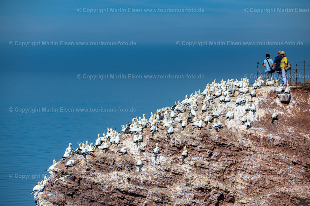 Helgoland Bastölpel_ELS_3487030818 | Helgoland - Aufnahmedatum: 03.08.2018, Aufnahmehöhe:  m, Koordinaten:  - , Bildgröße: 8044 x  5363 Pixel - Copyright 2018 by Martin Elsen, Kontakt: Tel.: +49 157 74581206, E-Mail: info@schoenes-foto.deSchlagwörter:Schleswig-Holstein,Landkreis Pinneberg,Düne,Hochseeinsel,Börteboote,Meer,Küste,Halunder,Oberland,Unterland,Strand,Seehunde,Robben,Lange Anna,Felsen,Roter Felsen,Luftbild,Luftbilder,Bastölpel - Realisiert mit Pictrs.com