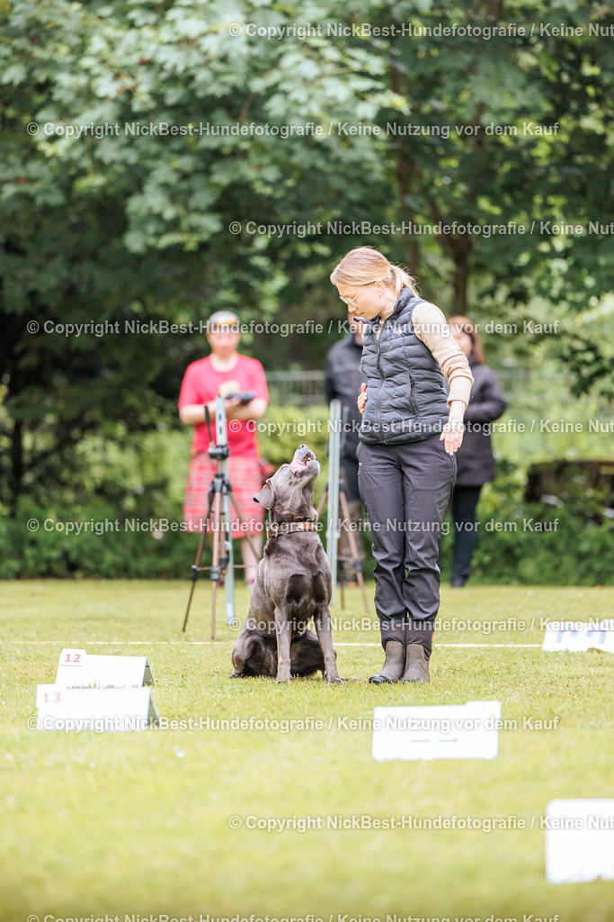 RO-Blumenthal-2026-Nickbest-Hundefotografie-1063 | Dein Hund! Dein Moment! Deine Erinnerungen! Hundefotografie in Bremen Blumenthal. Ich fange die besonderen Momente deines Vierbeiners ein – ob Indoor mit Blitzanlage oder in der freien Natur. Sicher dir dein Moment und dein Termin für eure Erinnerungen.
