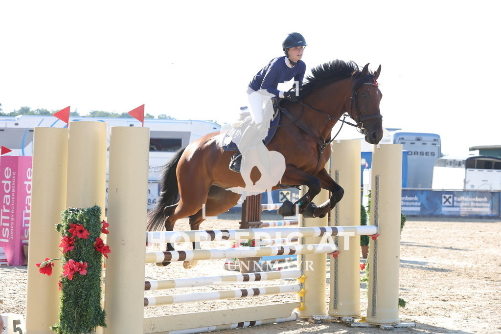 0P6A2176 | Willkommen bei Brunnmayr - Design & Fotografie – Ihrem Spezialisten für Reitturniere und Pferdeveranstaltungen in Oberösterreich, Salzburg und Bayern! Seit über 17 Jahren sind wir leidenschaftlich dabei.