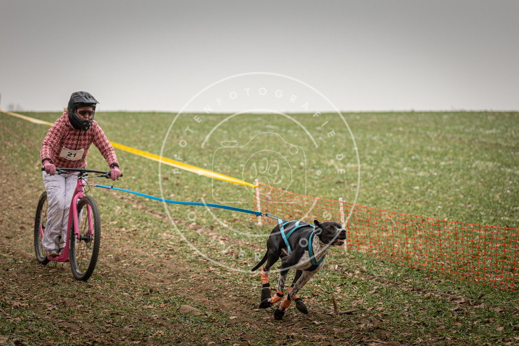 Pfotenfotografie_DV3A3808 | Hundefotografie, Tierfotograf, Pfotenfotografie, Fotoshooting Hund, Hunde Portrait, Hundesport, Hundeportraits, Heideshooting, Hunde, Sportfotograf, Hundefotograf, Turnierhundsport, THS,  - Realisiert mit Pictrs.com