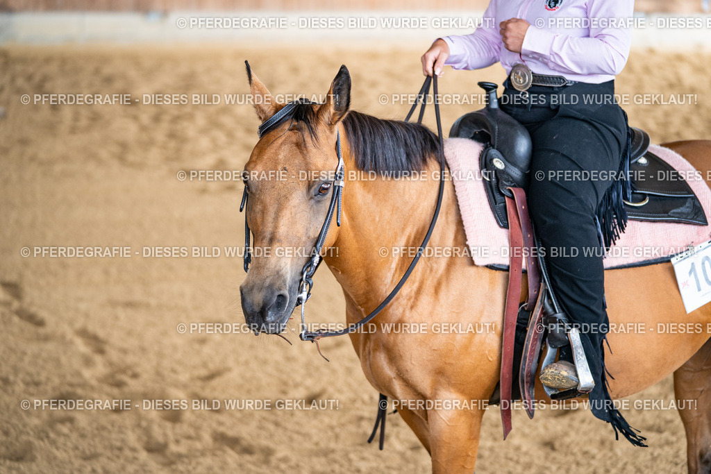 DSC02169 | Pferdegrafie