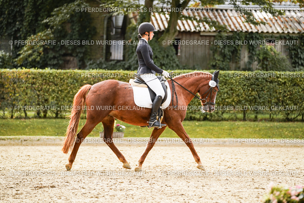 DSC00694 | Pferdegrafie