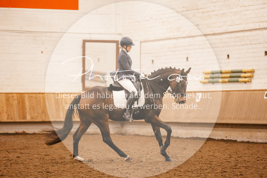 3I6A4703 | Stimmungsvolle Portraits und Reitsportfotografie im Ruhrgebiet und im Münsterland.

Pferdefotografie, Hundefotografie, Tierfotografie, Reportagen, Portraits von Tier und Mensch, Turnierfotografie in Bochum, Recklinghausen, Marl, Haltern am See, Dülmen.. - Realisiert mit Pictrs.com