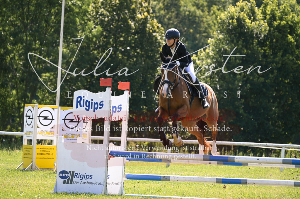 DSC_8716 | Pferde- und Turnierfotografie in Westsachsen. Pferdeportraits, Auftragszeichnungen und intuitive Kunst.