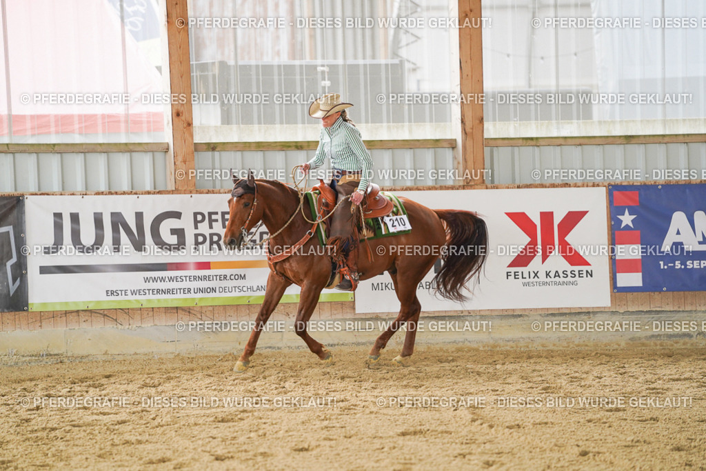 DSC05028 | Pferdegrafie