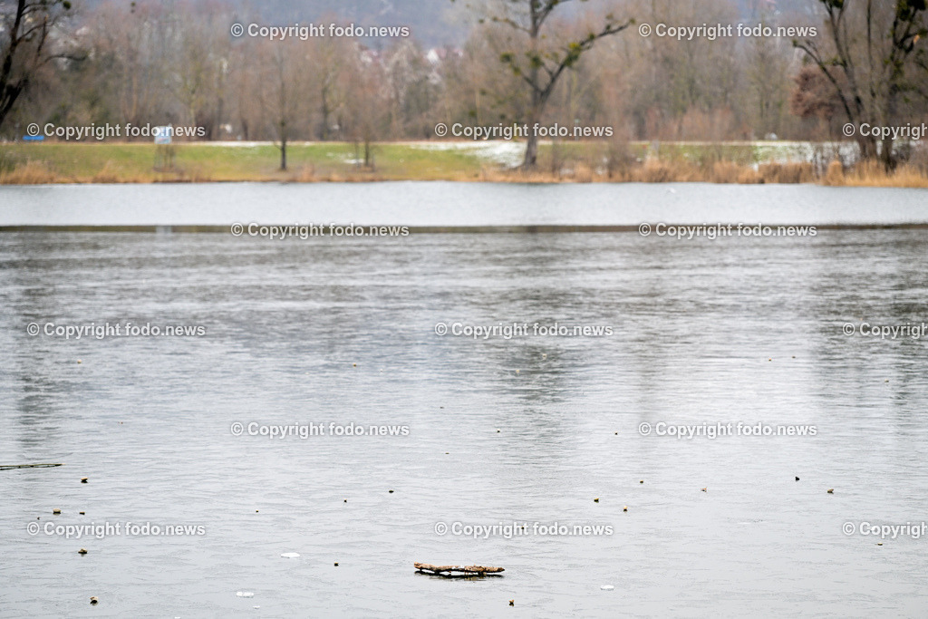 Pleschinger See_ Winter_ 13.01.2024-11 | 13.01.2024, Plesching, AUT, Pleschingersee, Winter, im Bild duenne Eisschicht, freies Wasser, Ast, Holz