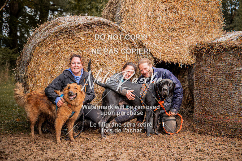 nelerasche_Hunsrück_So09-11_334 | nelerasche