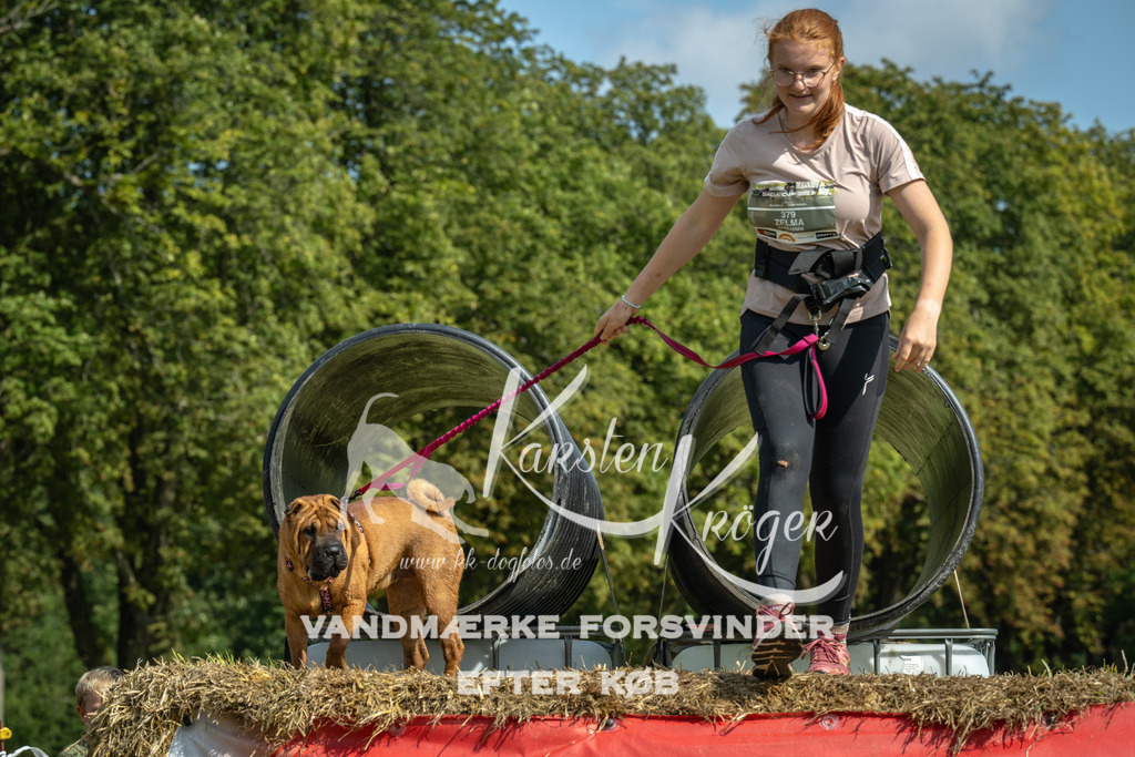 1311_ZZ92523 | kk-dogfotos