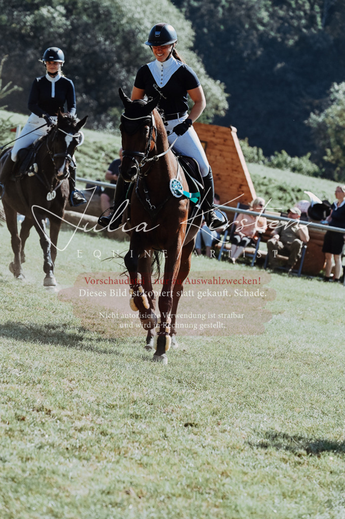 DSC_6239 | Pferde- und Turnierfotografie in Westsachsen. Pferdeportraits, Auftragszeichnungen und intuitive Kunst.