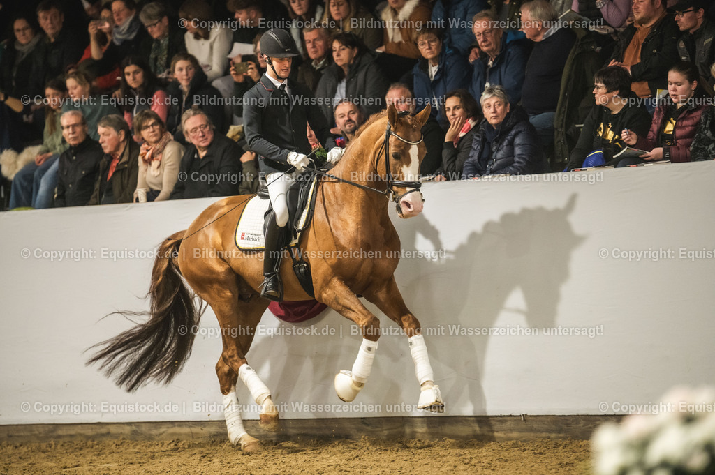 20240302_Hengstvorstellung_Marbach_TOMsPiC_0529-2 | equistock
