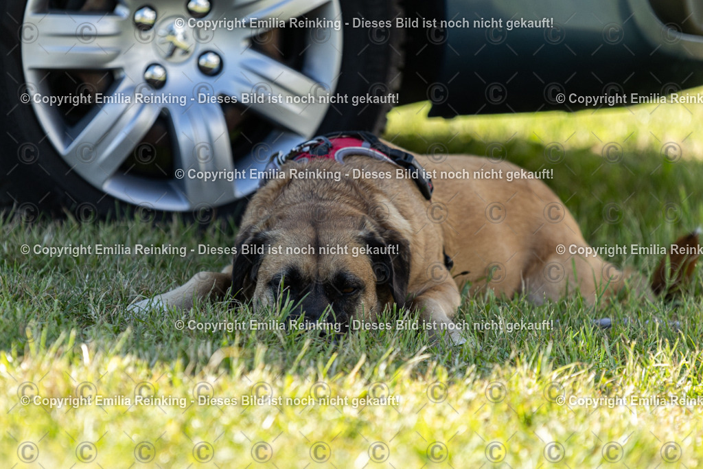 CL5A6925 | Emilia Reinking Fotografie - Realisiert mit Pictrs.com