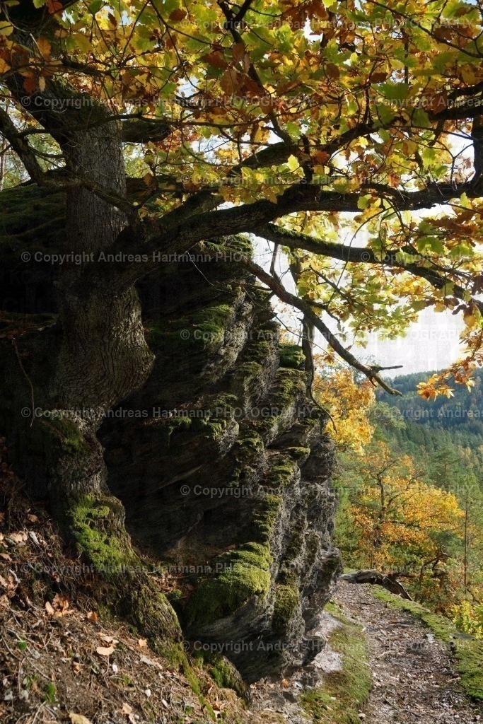 Elsterperlenweg | Elsterperlenweg - Realisiert mit Pictrs.com