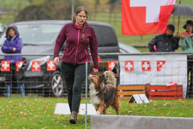 2025_Rally_Obedience_SM-175 | Ich fotografiere Hundeausstellungen, Sportanlässe, Zuchtstätten, Hundezucht, Hundeportrait, Lagotto - Realisiert mit Pictrs.com