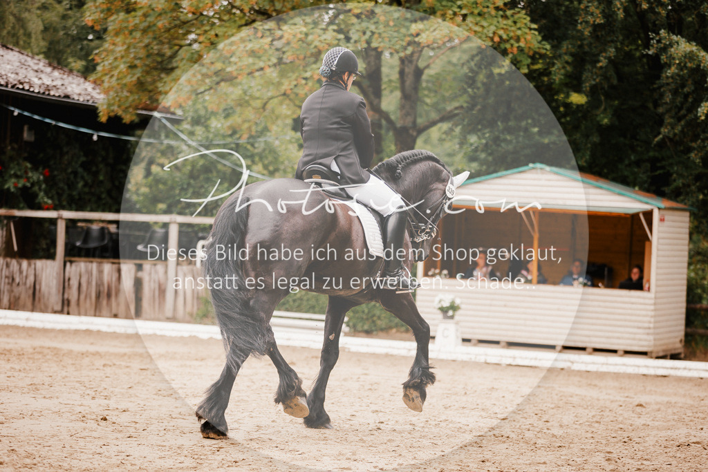 3I6A7748 | Stimmungsvolle Portraits und Reitsportfotografie im Ruhrgebiet und im Münsterland.

Pferdefotografie, Hundefotografie, Tierfotografie, Reportagen, Portraits von Tier und Mensch, Turnierfotografie in Bochum, Recklinghausen, Marl, Haltern am See, Dülmen.. - Realisiert mit Pictrs.com