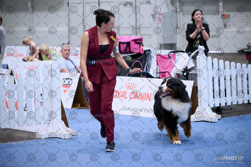 202406_ÖKV-IHA-Tulln24_NZ9_8821 | proPHOTO - Realisiert mit Pictrs.com