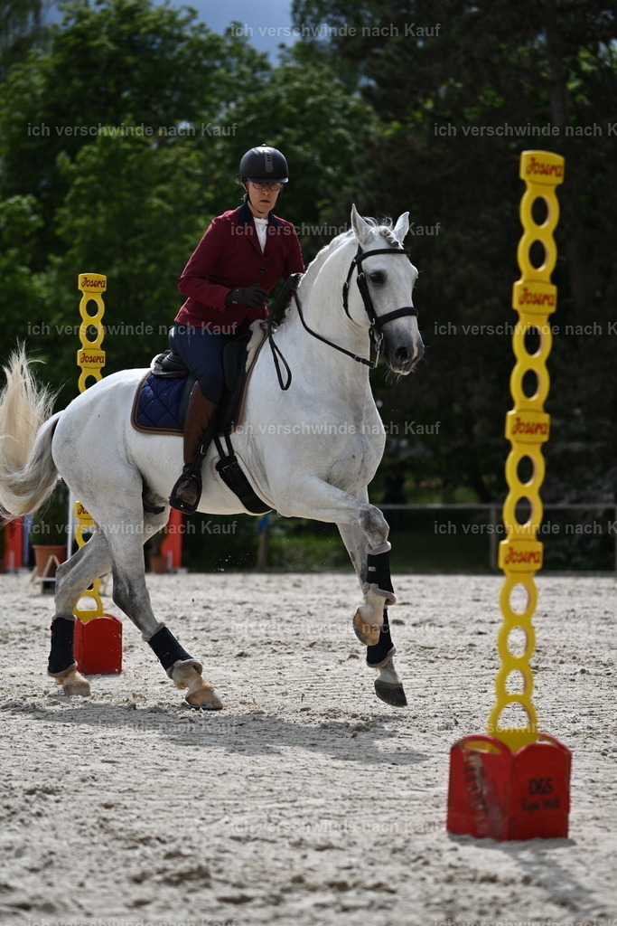 PI26_ST_Sara_Landvogt226_3732.JPG | working equitationturnier fotograf videograf stoibphotography marixx film working equitation deutschland reitsport turnierfotografie eventfotografie equestrian events
