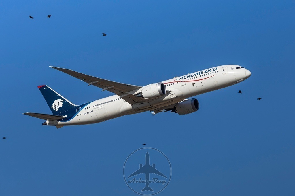 AM20-B789-N446AM-MAD-MEX-20240812-2-topaz-sharpen-denoise | Browse breathtaking aviation photography and order high-quality prints from AviatoRay's gallery. Perfect for enthusiasts and collectors. - Realisiert mit Pictrs.com