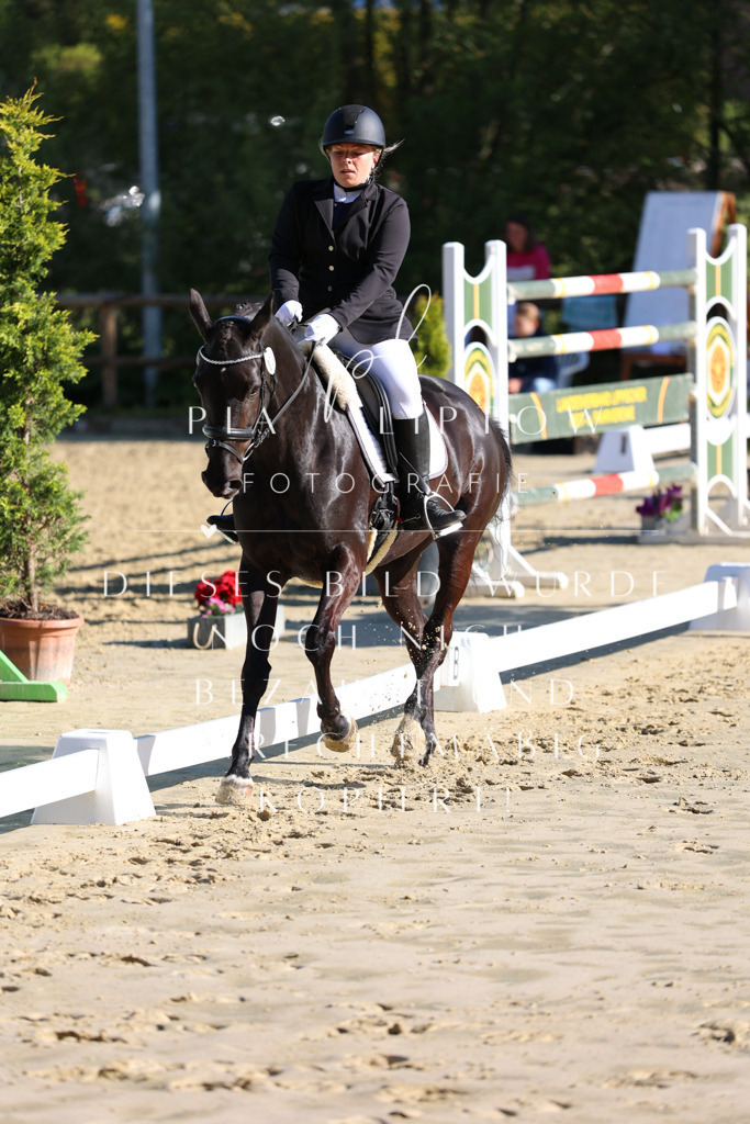 IMGT2687 | pl-fotografie