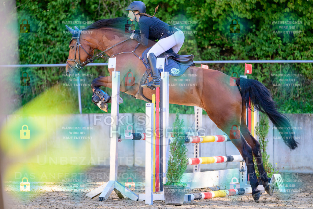 29082026-Giesenbach-Prfg10-0057 | Fokus Hufschlag Fotografie - Realisiert mit Pictrs.com